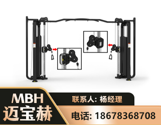 张家口大飞鸟训练器